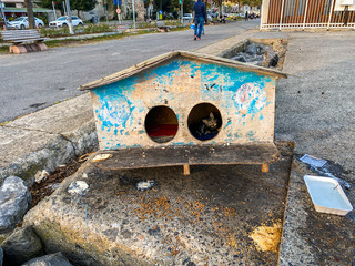 street house for homeless cats in Istanbul, Turkey. cat cabin stands on street for homeless cats....