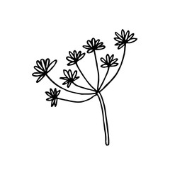 Plant vector doodle illustration. Herbs. Natural ingredient. Sticker, icon.