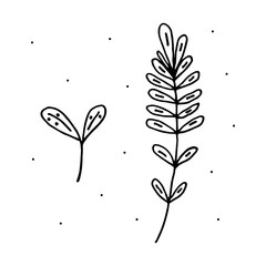 Plant vector doodle illustration. Herbs. Natural ingredient. Sticker, icon.