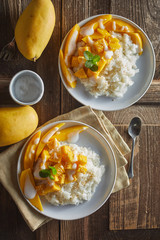 Mango with sticky rice , Thai dessert .