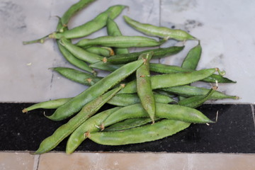 broad beans isolated on white background