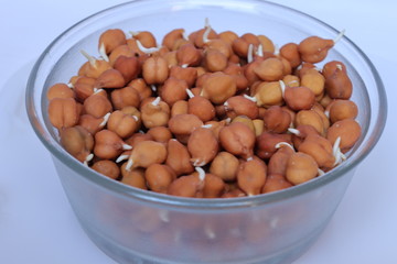 Yellow color split raw Chana dal or chickpeas lentils