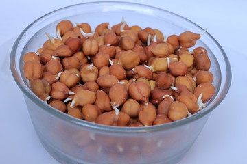 Yellow color split raw Chana dal or chickpeas lentils