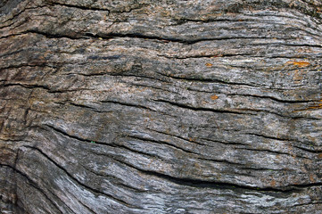 Texture pattern cracked old wooden background