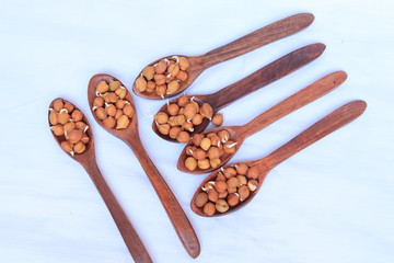 fresh germinated chickpeas with wood spoon on white background