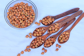 fresh germinated chickpeas on white background