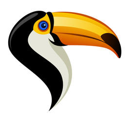 Toucan head on a white background