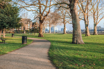 alley in the park