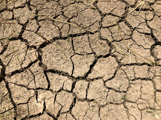 Background of dry ground and the cracked soil.