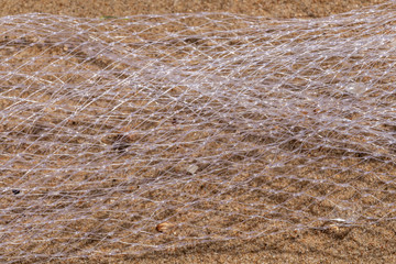 Beautiful horizontal texture of yellow sand with white polyethylene mesh for fishing and shell is...