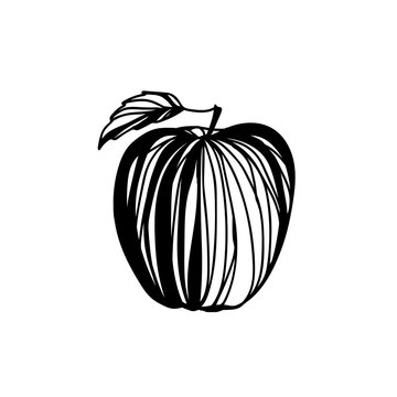 Hand drawn black on white apple