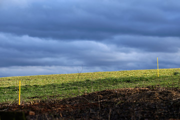 Landscape in the countryside with grey sky and sunlight illuminating the grass on the fields and...