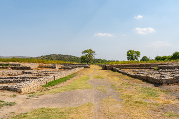 Fototapeta premium Taxila Ancient Sirkap 67
