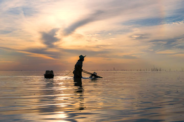 A Thai fisherman is using a small net to catch fresh water shrimp for use as a raw material for shrimp paste, an important ingredient in Thai food.