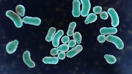Microscopic fungi Malassezia furfur, 3D illustration. They are naturally found on the skin surfaces and are also associated with dandruff, seborrhoeic dermatitis and tinea versicolor © Dr_Microbe