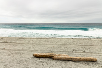 Fototapeta na wymiar logs drifting to the beach