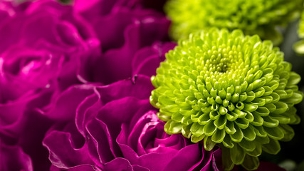 Bouquet of roses and chrysanthemums close up. Beautiful flower background. Floral backdrop.