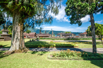 Fototapeta na wymiar A beautiful view of nature in Bali, Indonesia.
