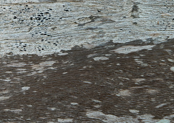 Wood texture background