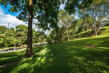 A beautiful view of Bali in Indonesia.