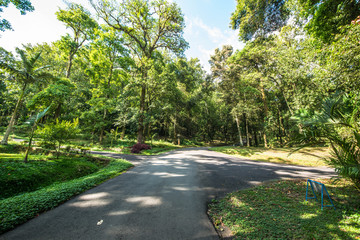 A beautiful view of Bali in Indonesia.