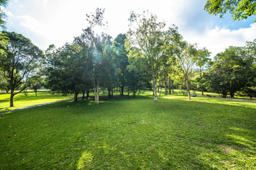 A beautiful view of Bali in Indonesia.