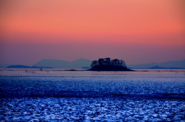 Sunset in Suncheon bay, South Korea