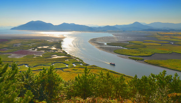 Suncheon bay natural reserve, South Korea