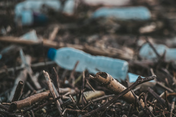 Trash dragged by the ocean after a storm