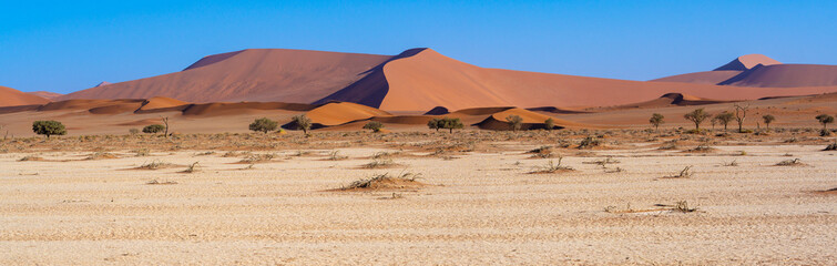 wunderschöne Namib-Dünen im Tsauchabtal bei Deadvlei und Sossusvlei, Sesriem, Panorama, Namib-Naukluft Nationalpark, Namibia