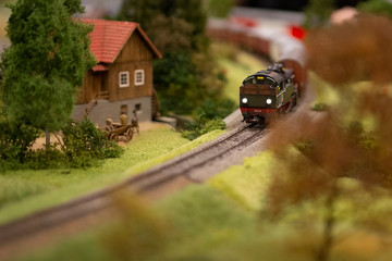 makieta kolejowa © Dariusz Grochal 