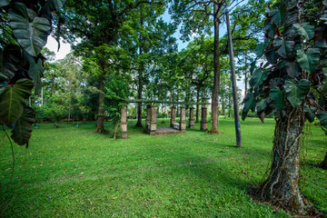 A beautiful view of nature in Bali, Indonesia.