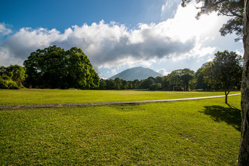 A beautiful view of nature in Bali, Indonesia.