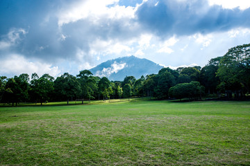 A beautiful view of nature in Bali, Indonesia.