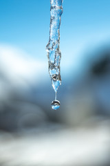 Naklejka na ściany i meble Closeup view of a melting icicle