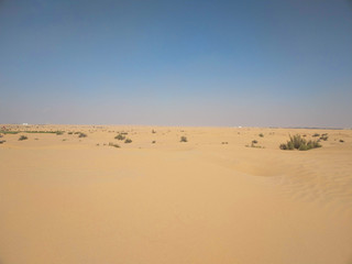 Fototapeta na wymiar Wüstensafari in Dubai