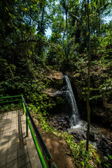 Fototapeta premium A beautiful view of Goa Gajah temple in Bali, Indonesia