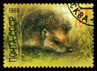 Postage stamp. European Hedgehog.
