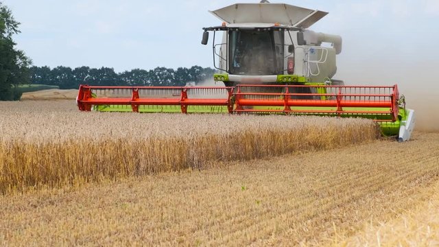 Modern combine harvester in the field. Harvesting wheat. Harvest time, hard work.