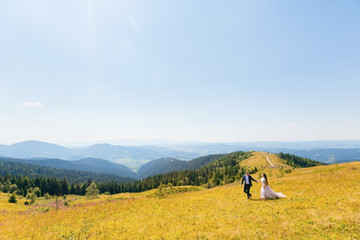 meadow with green grass on top of the mountain and newlyweds who