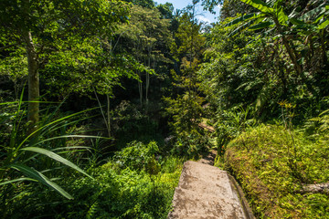 Fototapeta na wymiar A beautiful view of waterfall in Bali, Indonesia.