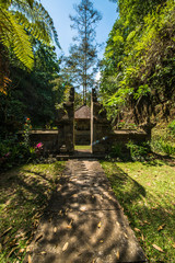 A beautiful view of waterfall in Bali, Indonesia.