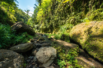 A beautiful view of waterfall in Bali, Indonesia.
