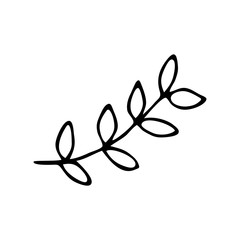 Spring sprig with doodle style leaves. Beautiful plant of nature, in the forest, in the fields. Black and white floral concept illustration vector