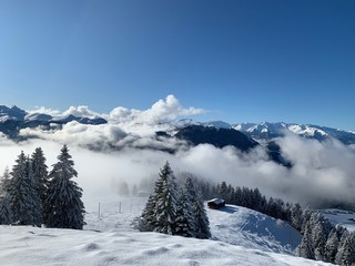 Fototapeta premium Hochnebel Stels