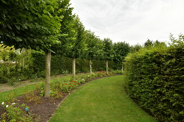 Promenade circulaire à la roseraie du domaine Coloma à Sint-Pieter-Leeuw