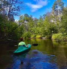 Kayaking on a river