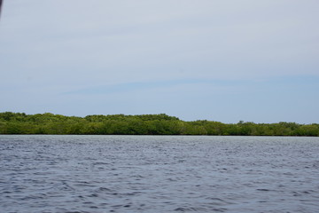 Ría Lagartos Biosphere Reserve