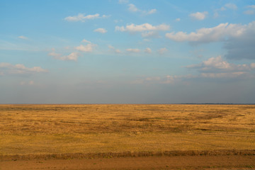 Fototapeta na wymiar Autumn steppe field yellow grass natural landcape view