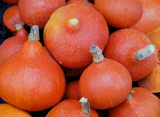 tasty,ripe fruits of pumpkin vegetable